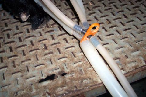 image Tubos de aire y leche