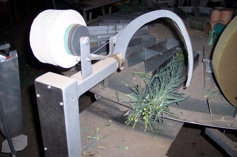 image Clasificadora cortadora