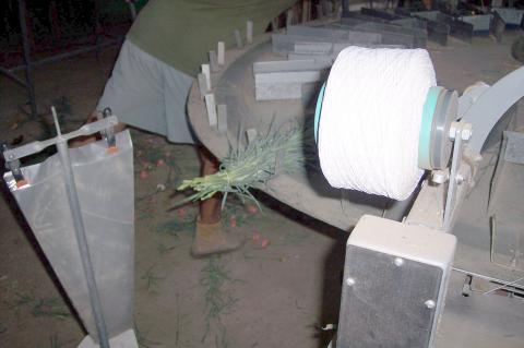 image Clasificadora cortadora