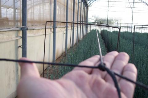 image Mallas tutores