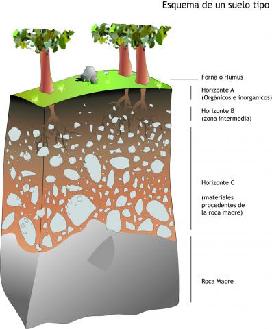 ilustracion Esquema de un suelo tipo 