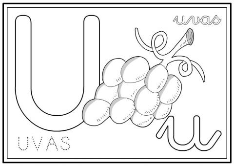 ilustracion Letra U: uvas
