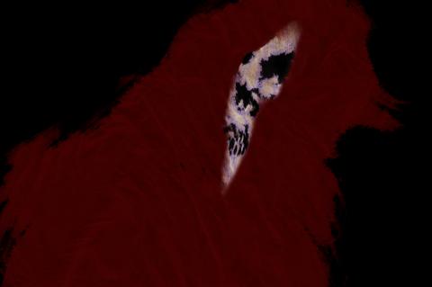 ilustracion Don Juan: Transformación del espectro (Molière)