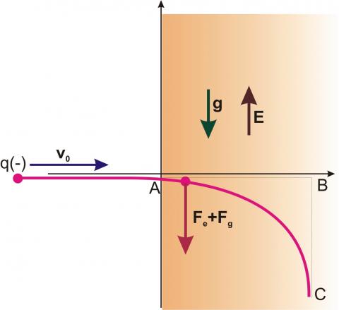 ilustracion Carga negativa en campos conservativos