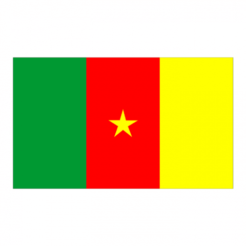 ilustracion Camerún