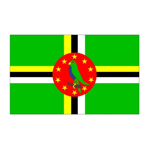 ilustracion Dominica