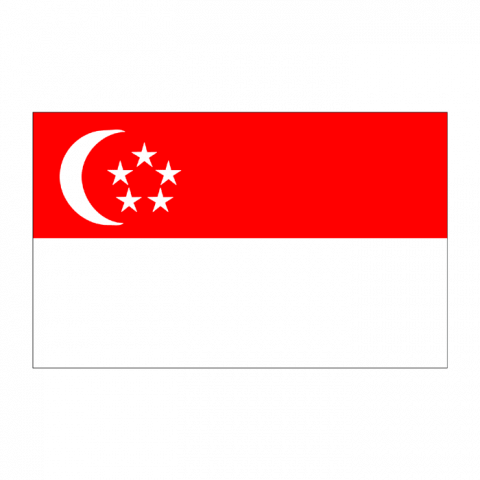 ilustracion Singapur