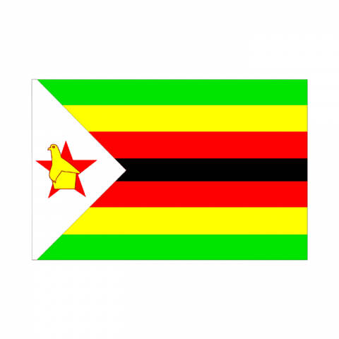 ilustracion Zimbabwe