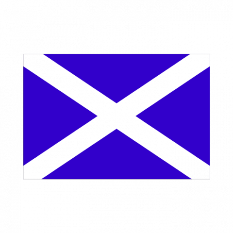 ilustracion November