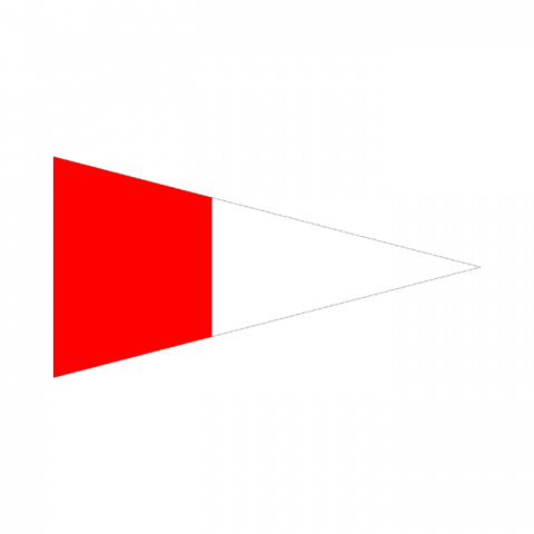 ilustracion 3er Repetidor