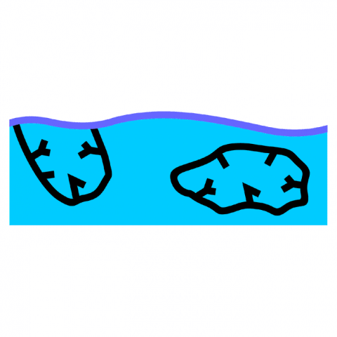 ilustracion Arrecife