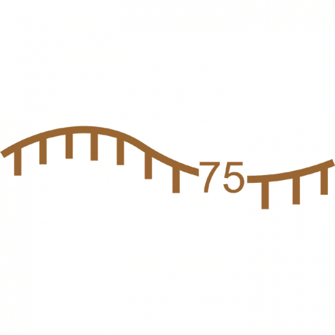 ilustracion Líneas de depresión intermedias (cada 25 m)