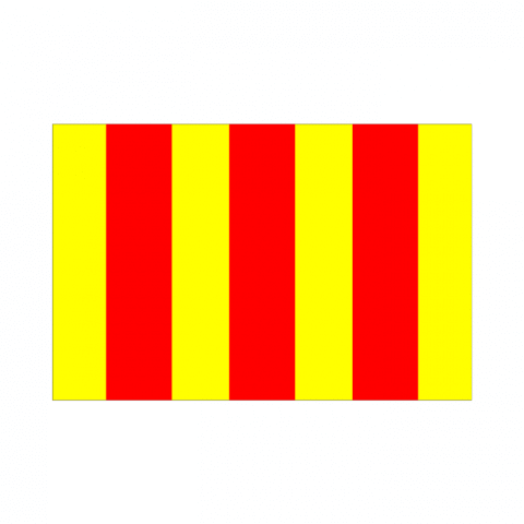 ilustracion Bandera amarilla y roja: Aceite en la pista