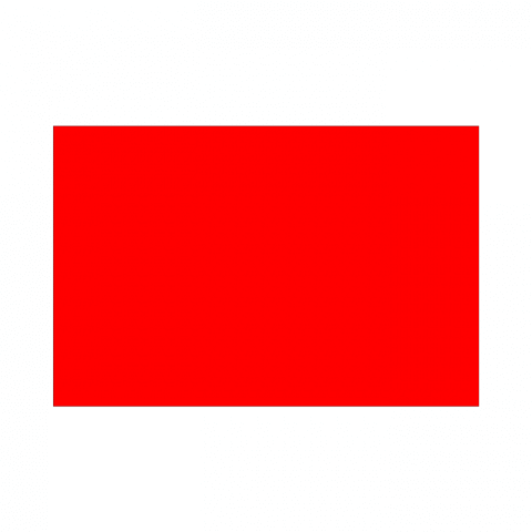 ilustracion Bandera roja: Suspensión de la carrera