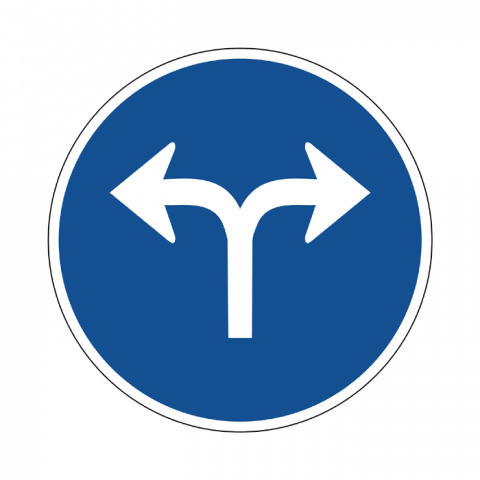 ilustracion Únicas direcciones permitidas: Izquierda o derecha