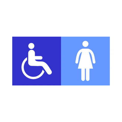 ilustracion Baños femeninos accesibles a discapacitados