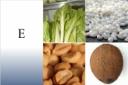 Vitamina E