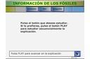 Información aportada por los fósiles