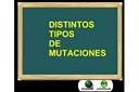Tipología de las mutaciones: génicas, cromosómicas y genómicas