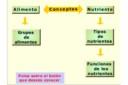 Los alimentos y sus nutrientes