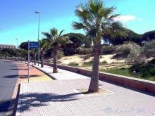image Avenida de los Marineros. Vistas de Isla Cristina (Huelva). 2