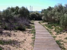 image Paseo de madera: acceso a la playa. Vistas de Isla Cristina (Huelva). 3