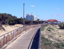 image Paseo de madera: bordeando la playa. Vistas de Isla Cristina (Huelva). 5