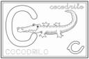 Letra C: cocodrilo