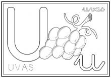 ilustracion Letra U: uvas