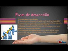 Se busca soci@s para el Proyecto mínimo viable