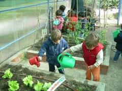 TRABAJO FINAL subgrupo 1 grupo E