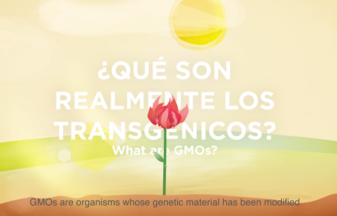 qué son los transgénicos