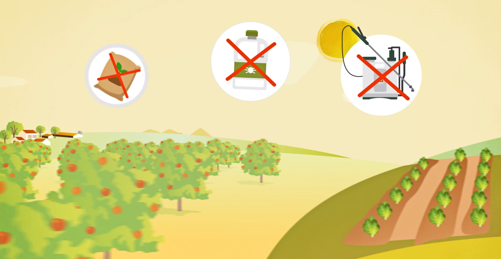 alimentación ecológica