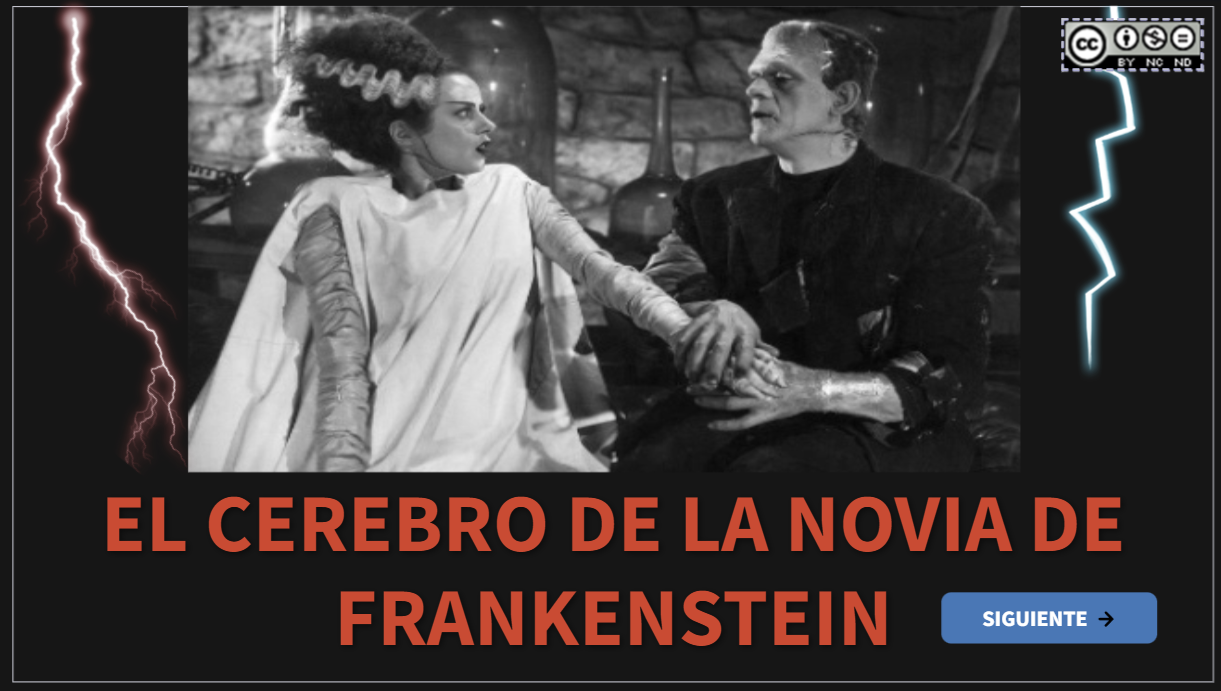 Juego digital de repaso del Sistema Nervioso Central