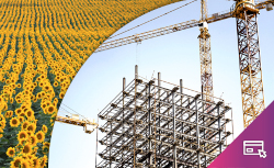 Economía y funciones urbanas recurso interactivo