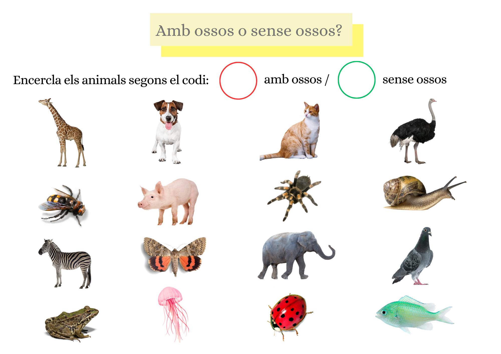 Ficha animales vertebrados e invertebrados