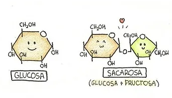 Diferenciación de glucosa y sacarosa