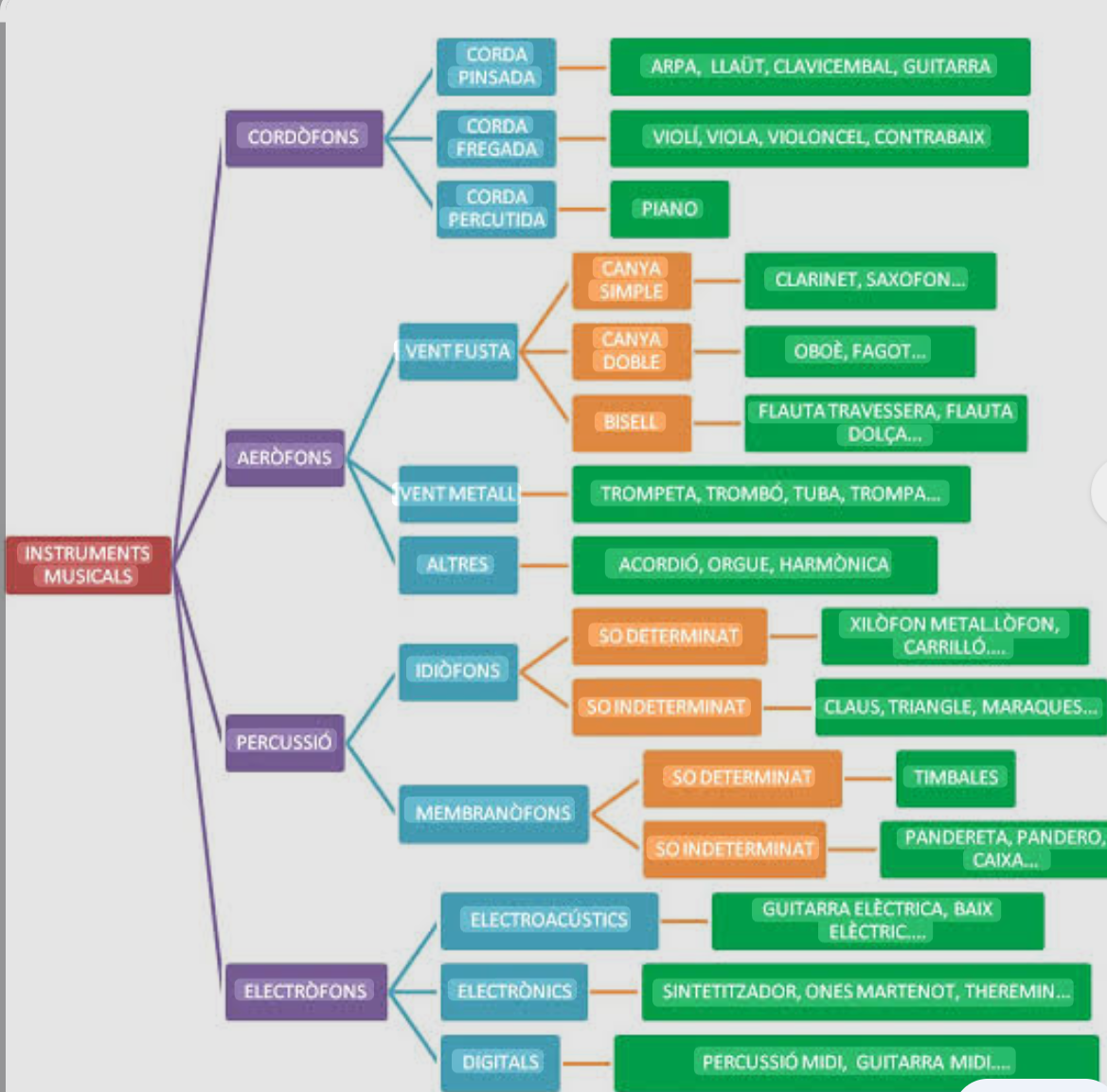 Esquema que conté els noms Dels instruments musicals distribuïts per fámílies sonores