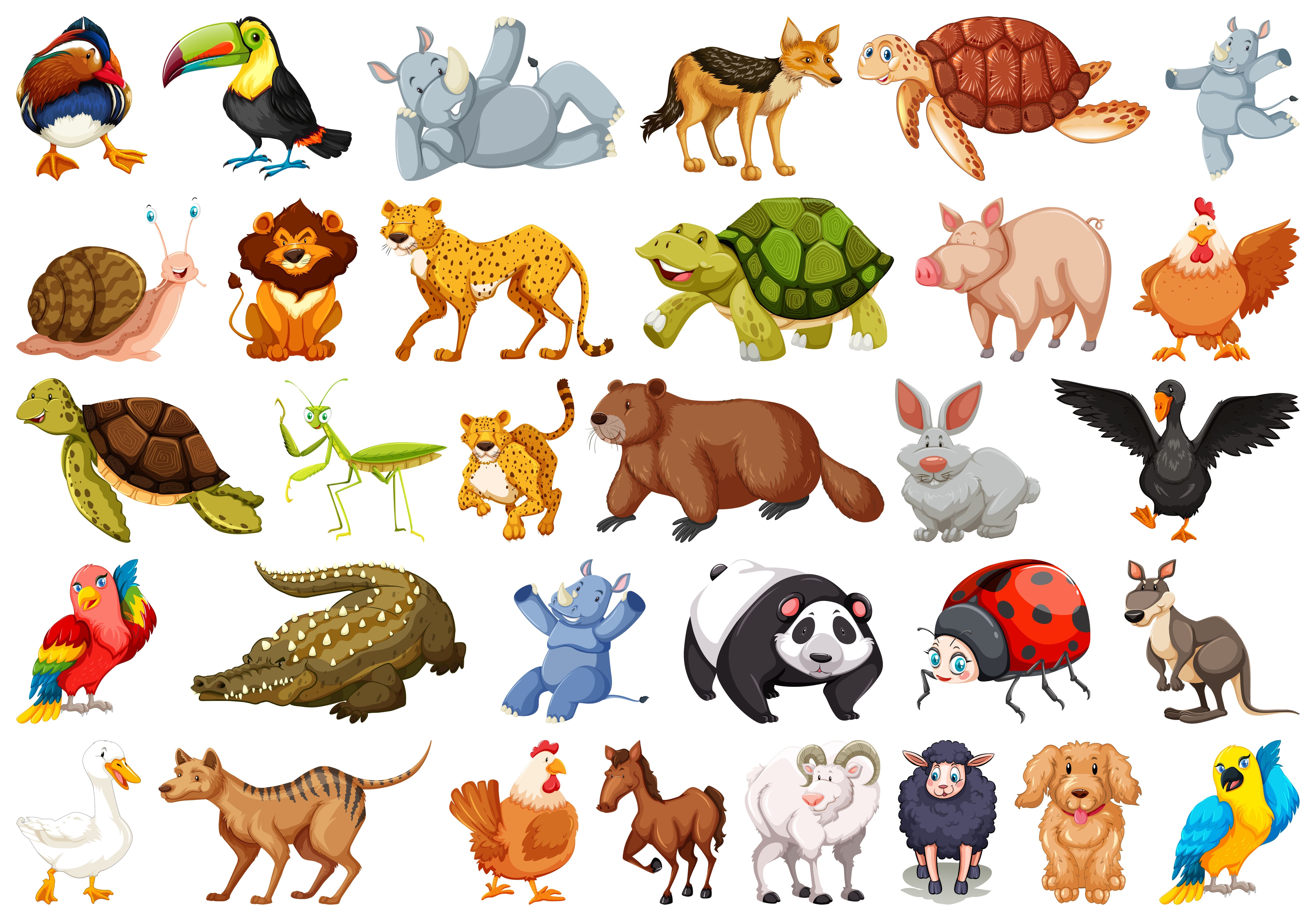 ANIMALES