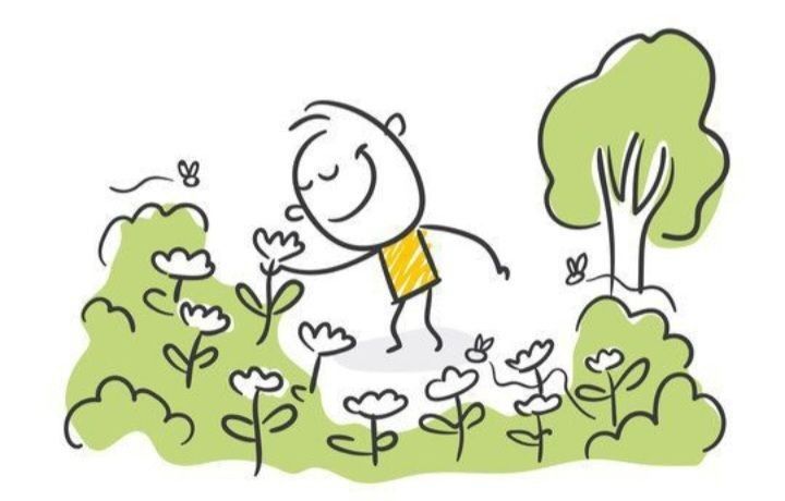 Bienvenida ! ¿ TE ATREVES A DESCUBRIR EL FASCINANTE MUNDO DE LAS PLANTAS?