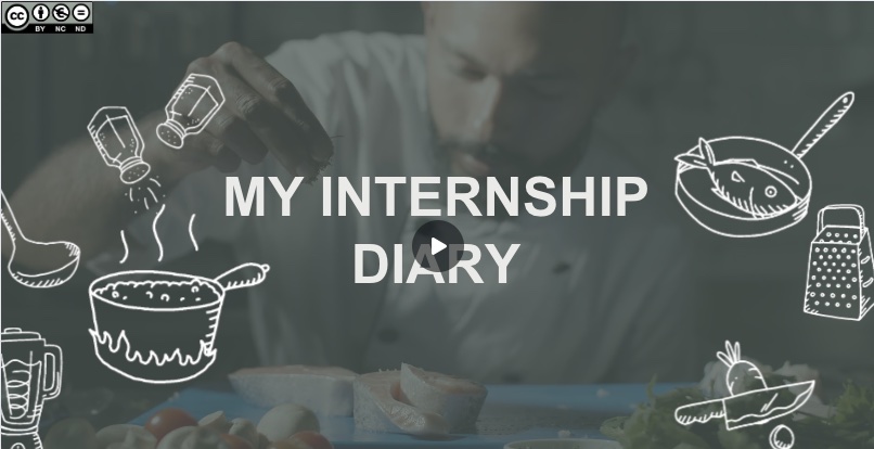 My internship diary