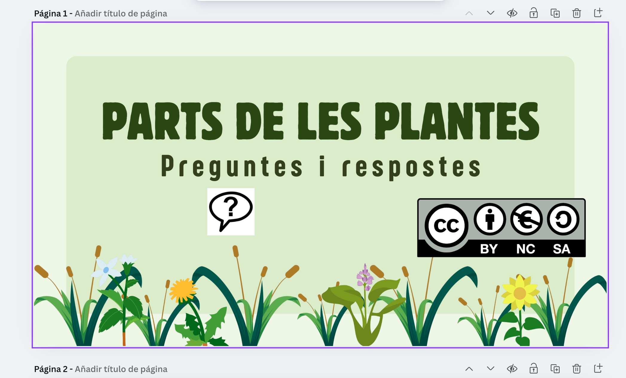 Mediante preguntas relacionadas con las plantas el alumnado irá descubriendo las respuestas y aprendiendo sobre las funciones de las partes de una planta.