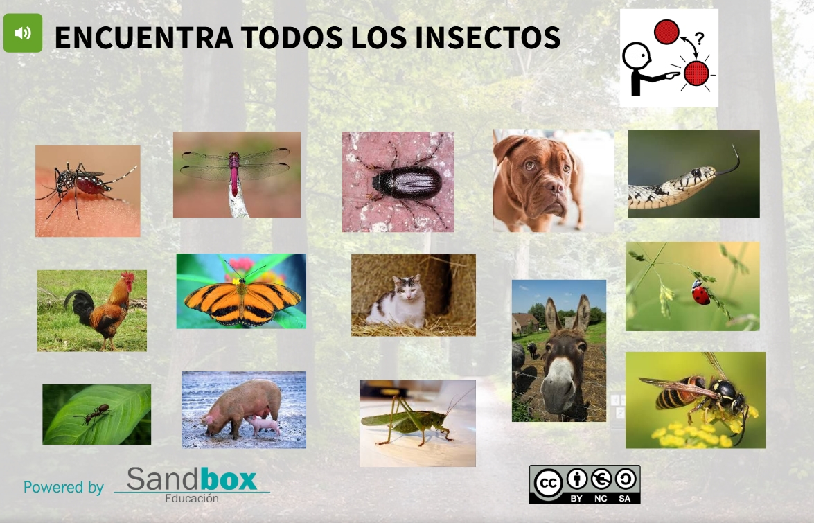 JUEGO INTERACTIVO SOBRE INSECTOS
