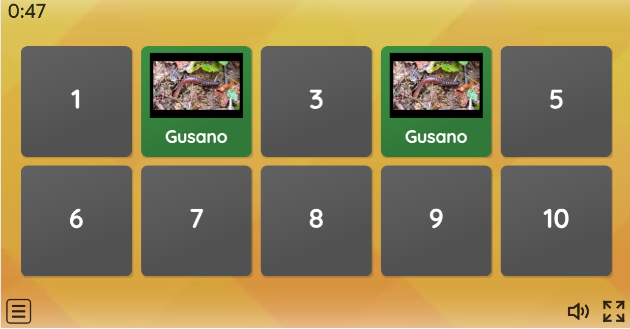 Memory con imágenes y palabras de algunos insectos trabajados.