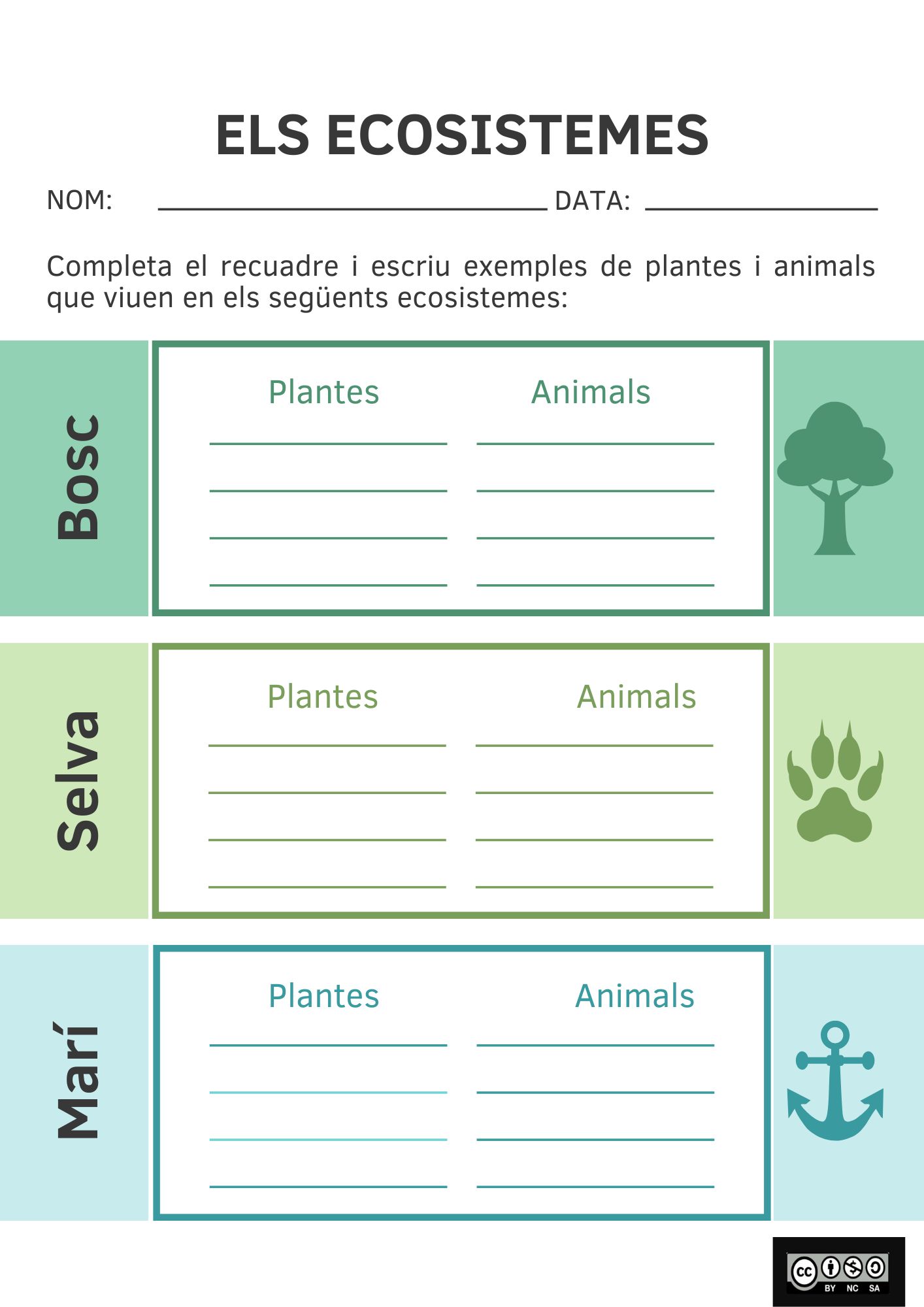 Creación con pautas del trabajo y ejemplo de una infografia para trabajar tipos de ecosistemas.