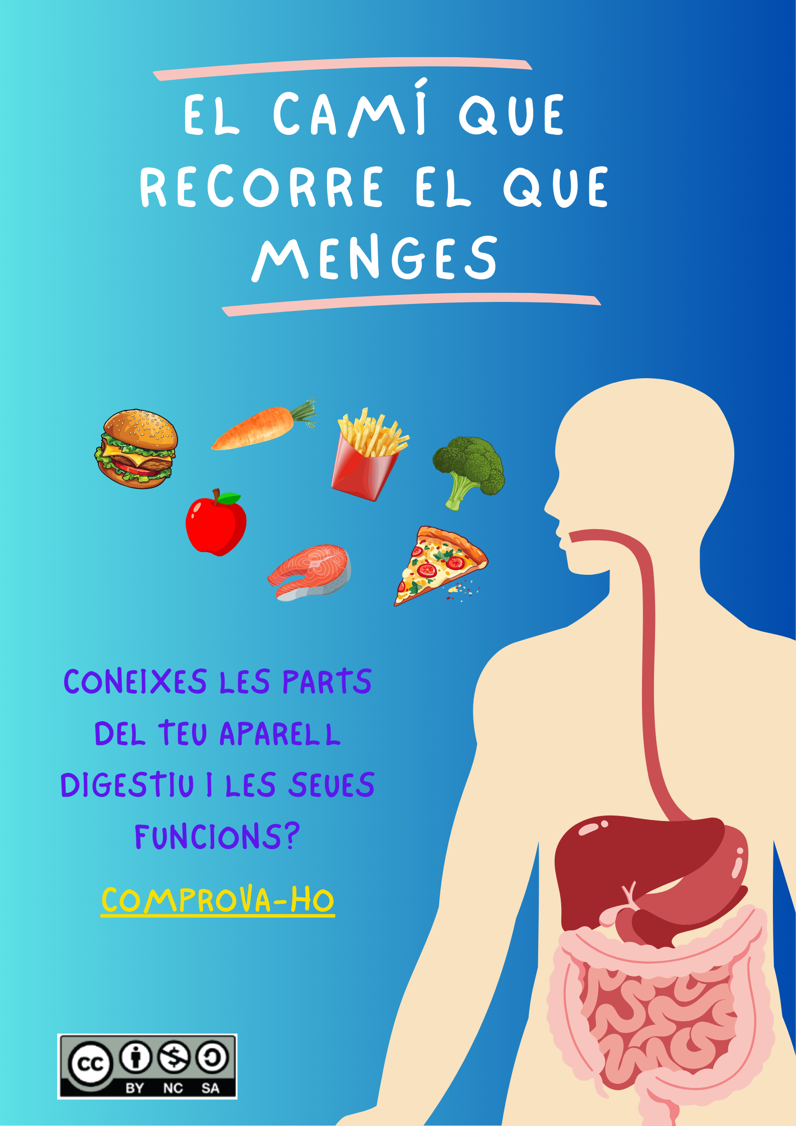 L'aparell digestiu i les seues funcions