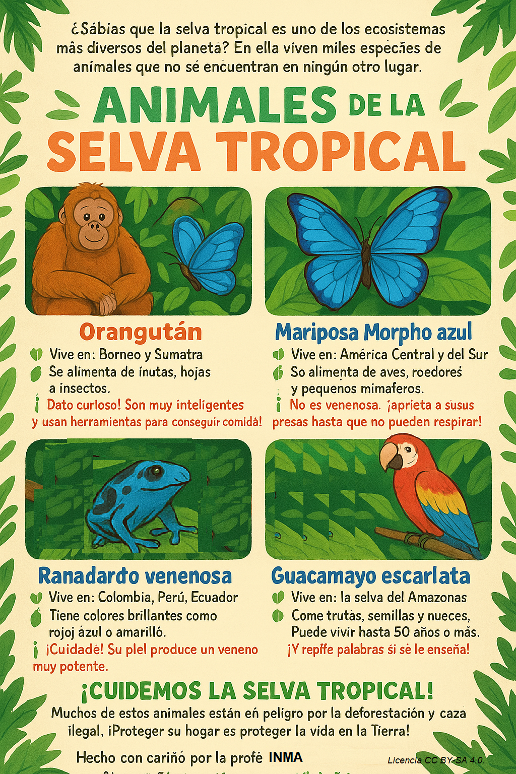 poster selva tropical