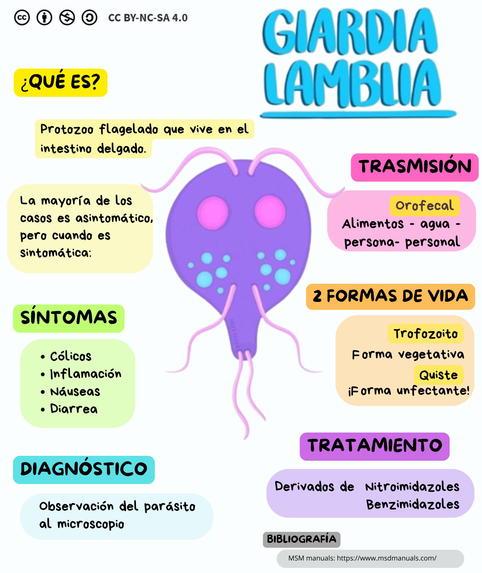 Infografía ejemplo