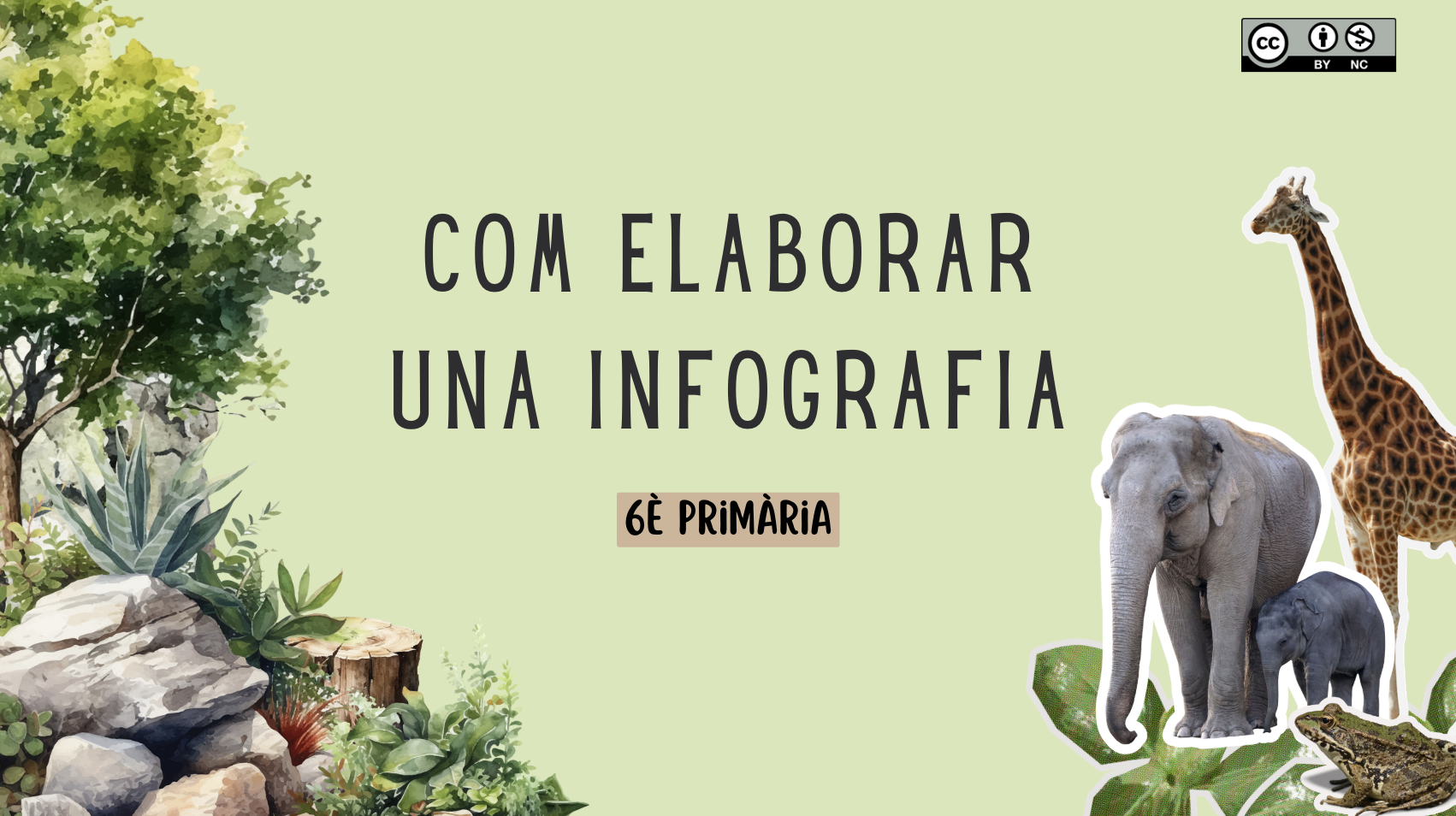 Creació d'una infografia