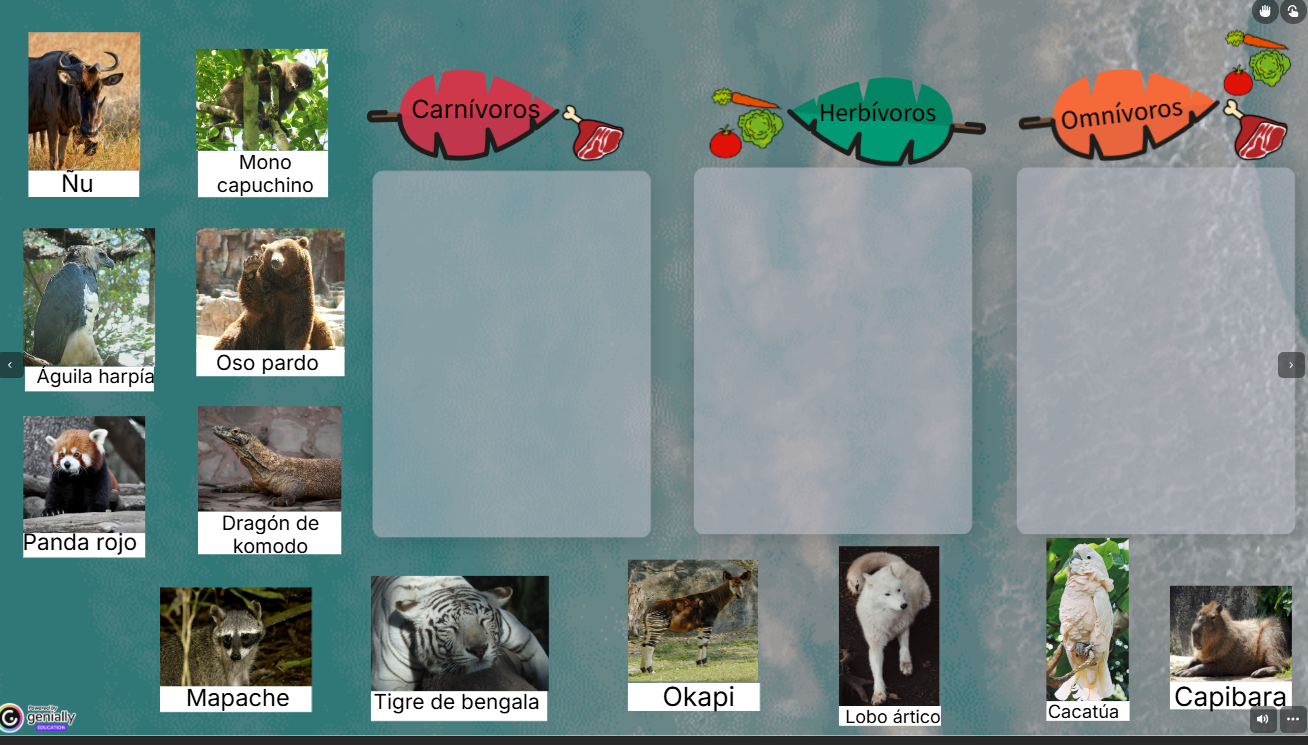 Imagen del juego interactivo